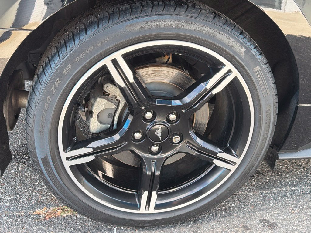 2019 Ford Mustang GT Premium